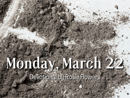 Day 29 - Monday, March 22