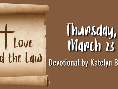 Day 26 - Thursday, March 23, 2023