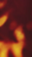 87225370c8bc9345952a6e81bd5d2625.jpg