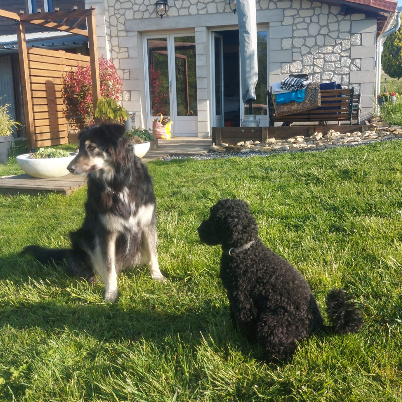 Sella & Nelson 