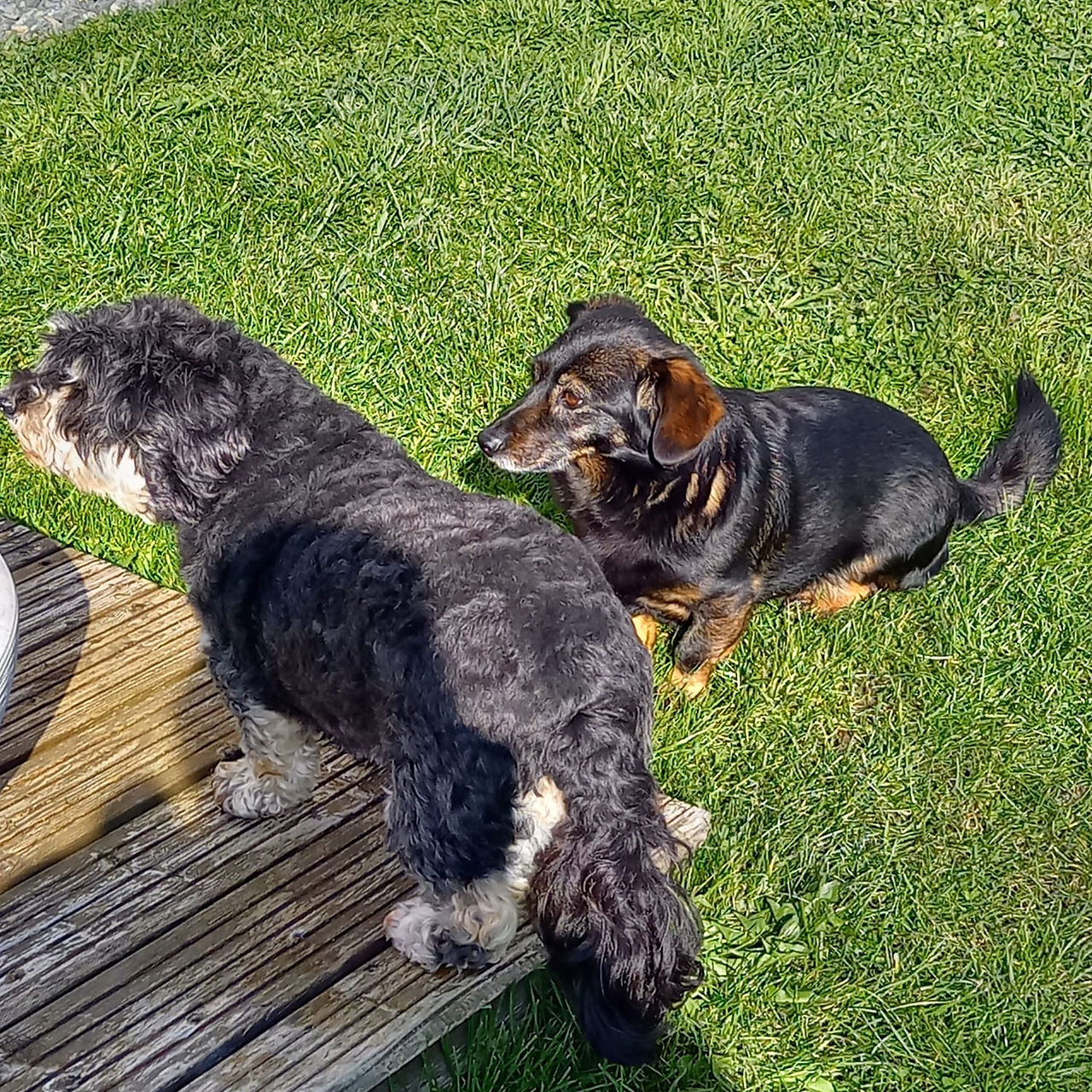 Suus & Joris (11 en 8 jr)