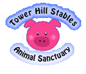 towerhill-logo.gif