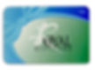 Royal Gift Card