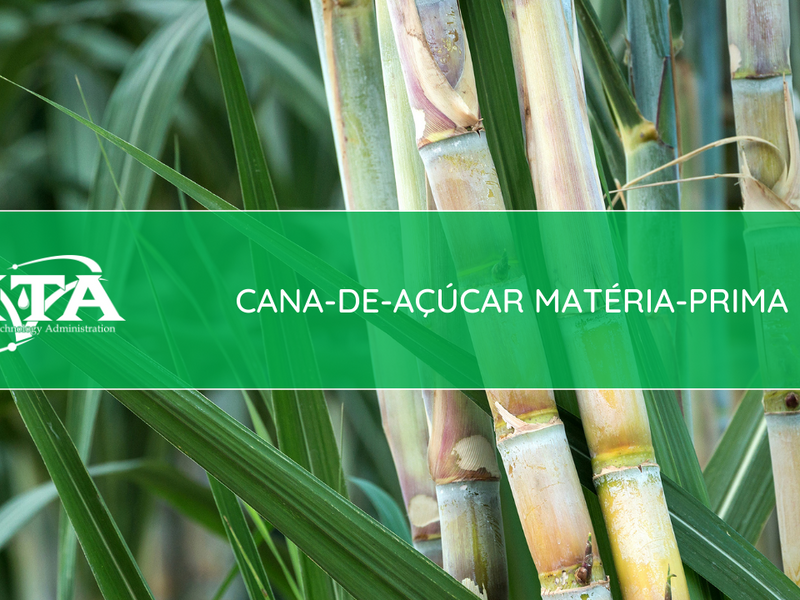 MTA02 - Cana-de-açúcar como matéria-prima I | Bio Energy Hub
