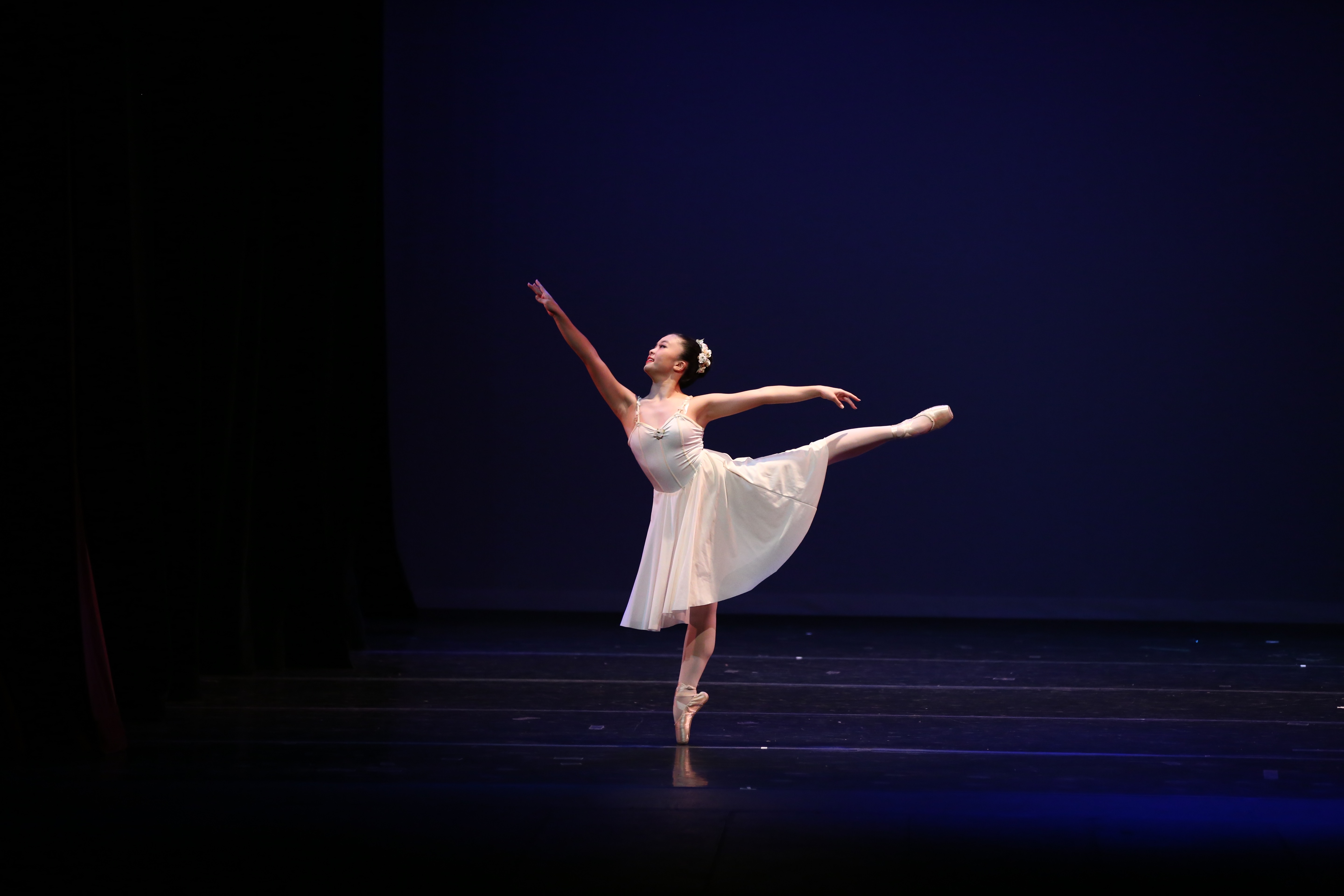 gallery-hawaiistateballet