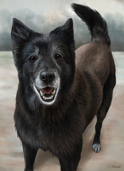 Brandy - Digital portrait
