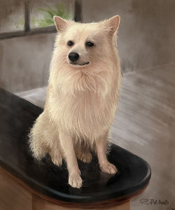 Fluffy - digital portrait