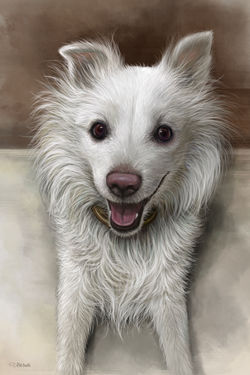 Fluffy - Digital portrait