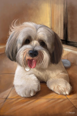 Rico - digital portrait