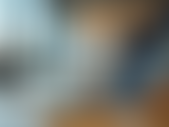 Discover the Value of Online Defence Training Workshops