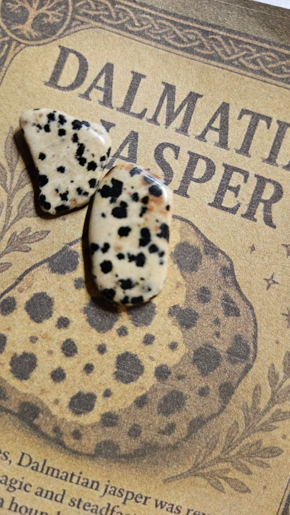 Thumbnail: Dalmation Jasper