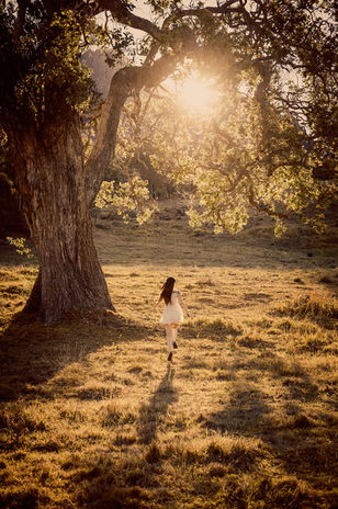 Lillian Lace_20121013-0492.jpg