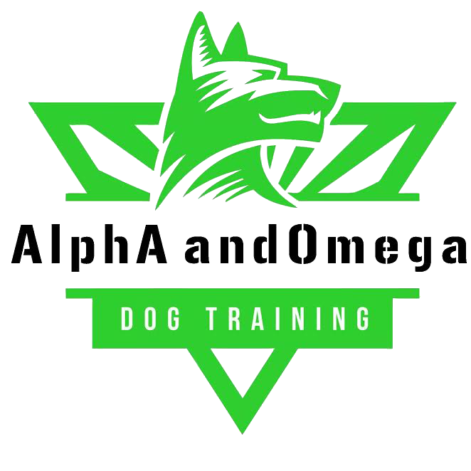 Wesley Chapel Offers Dog Training Programs for All Needs