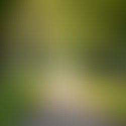 Overall Mental Wellbeing Programme in King’s Cross, London | TheraFit London