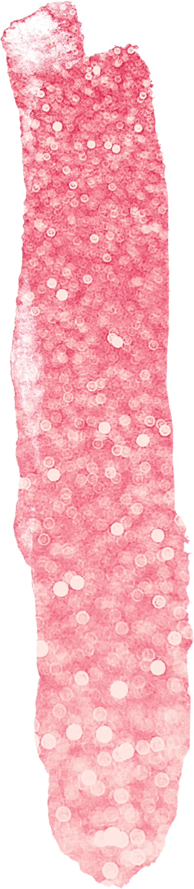 16.png