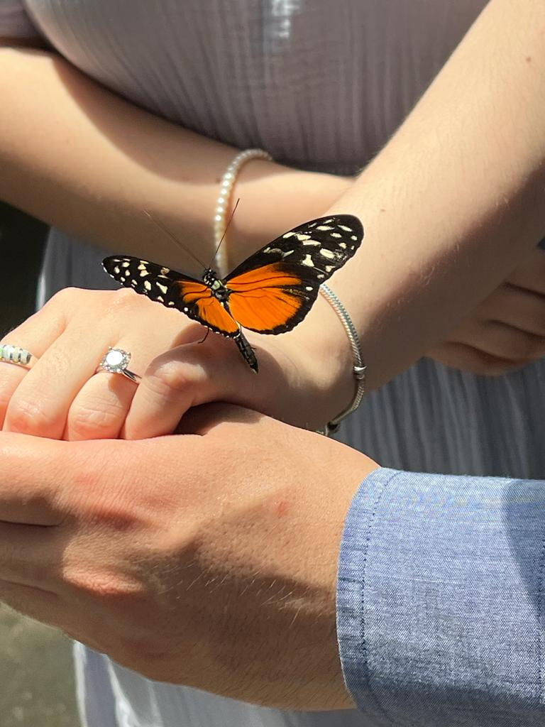 WhatsApp Image 2026-01-02 at 09.26.30.jpeg