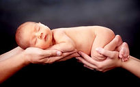 4.1 - The evolution of the human birth -