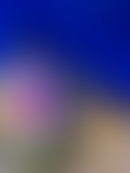 Guararapes confirma venda do Midway Mall por R$ 1,61 bilhão