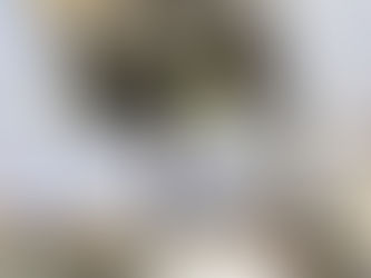 Covid: RN recebe hoje novo lote de vacinas; veja quantidades de cada