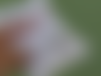 Governo prorroga exigência de passaporte de vacina para comércio, bares, restaurantes e eventos