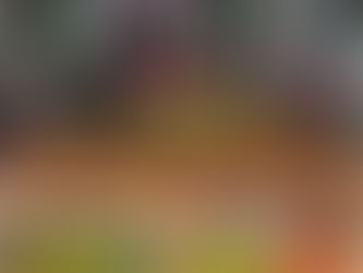 MST inicia captação de R$ 17,5 milhões no mercado financeiro