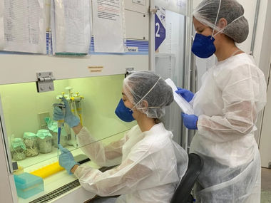 Pesquisa revela circulação de duas novas variantes da Covid-19 no RN