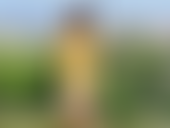 Mulher morre após perder controle do carro e veículo cair em açude no RN