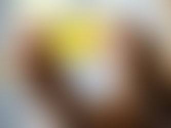 Novo Bolsa Família deve entrar em vigor em novembro com reajuste de 50%