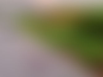 Corrente de motocicleta trava e provoca acidente com vítima fatal na RN 223, em Caraúbas