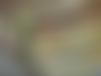 PF prende homem quando recebia dinheiro falso pelos Correios em Pau dos Ferros