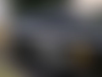 Homem é assassinado com mais de 20 tiros em rinha de galo na Grande Natal