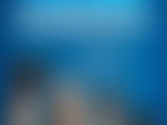 Campanha de vacinação antirrábica em Pau dos Ferros começa neste sábado (18)