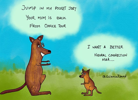 kangaroo, joey, talking, milk, neural connection
