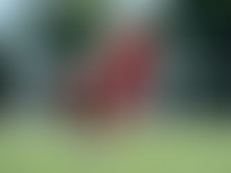 NAME CHANGE: RESERVES TO U23