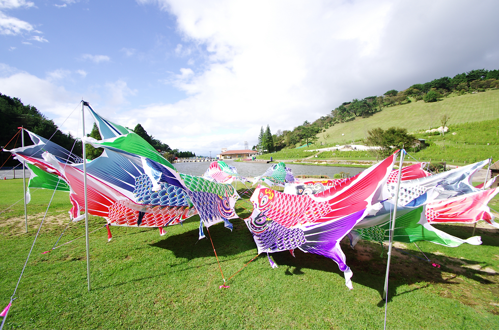 ROKKO CARP CAMP_edited.png