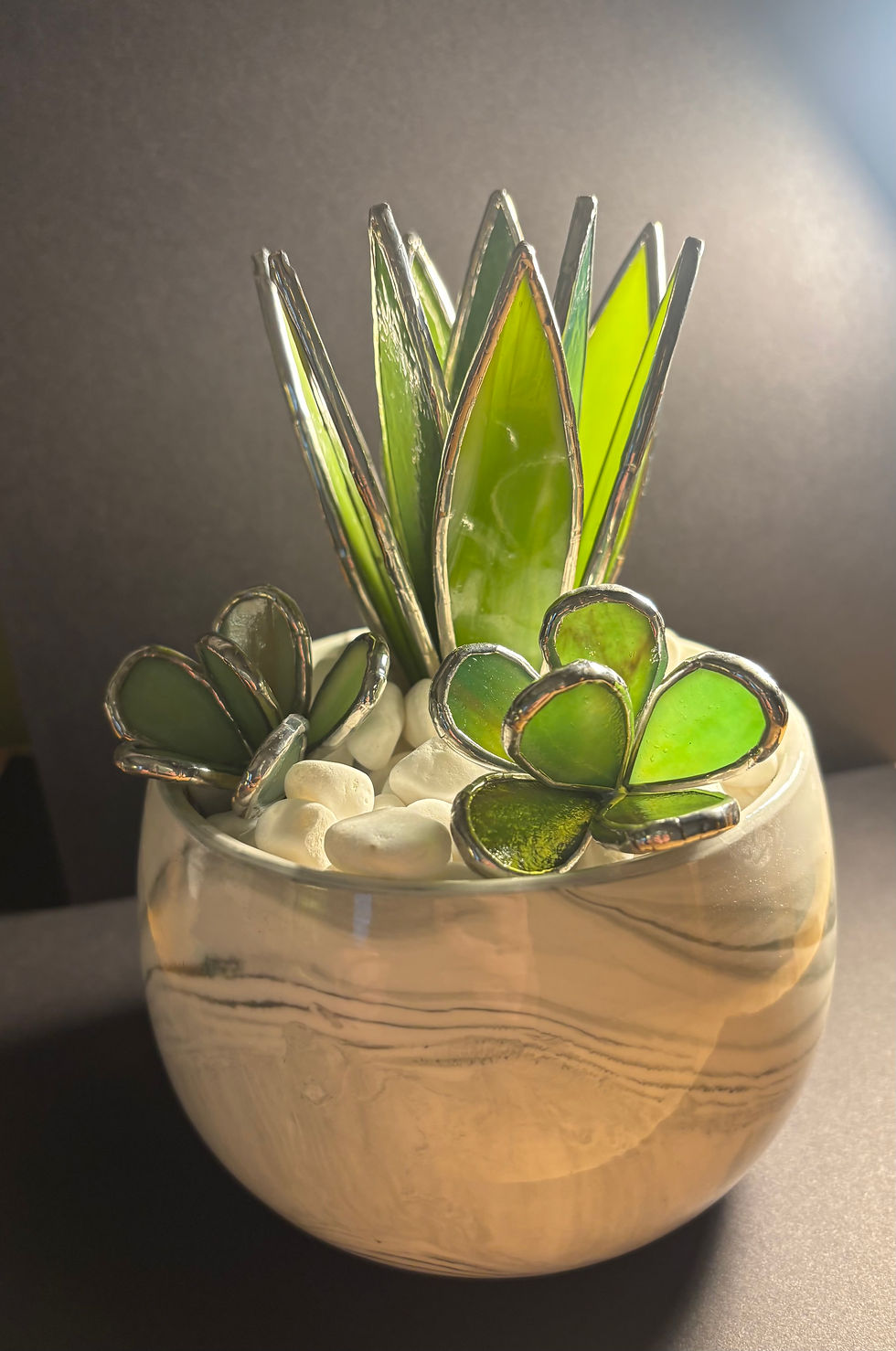 Thumbnail: Large Spiky Succulent with Flower