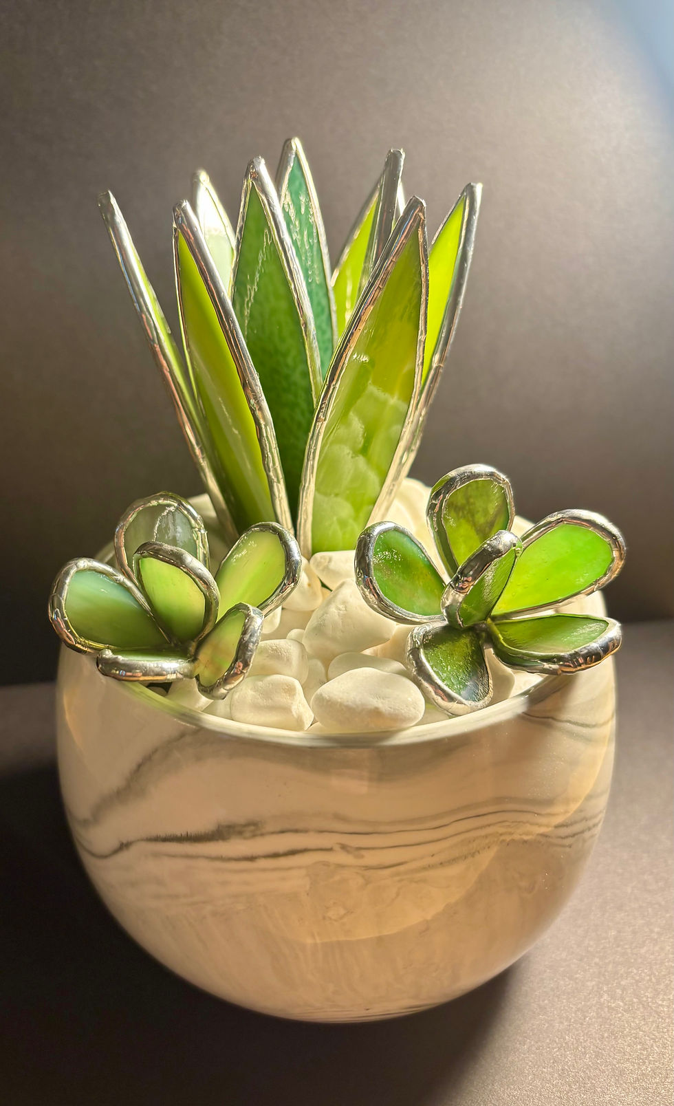 Thumbnail: Large Spiky Succulent with Flower