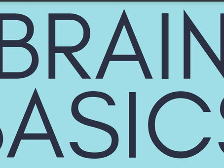 Brain Basics - An Introductory level Neuroscience workshop