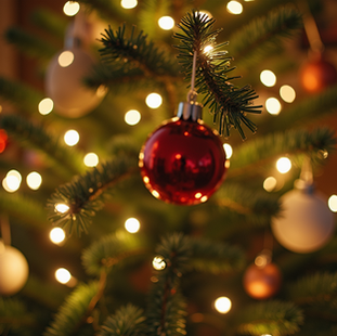 Holiday Magic: Christmas Setup and Takedown Services