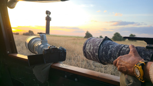 Wildlife photography lenses point out of Untamed photo safaris photographic safari trucks.