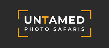 Untamed Photo Safaris.jpg