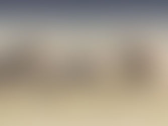 Marsh Pride lions in the Masai Mara National Reserve, photographed by Jaren A Fernley during a wildlife photography safari in Kenya.