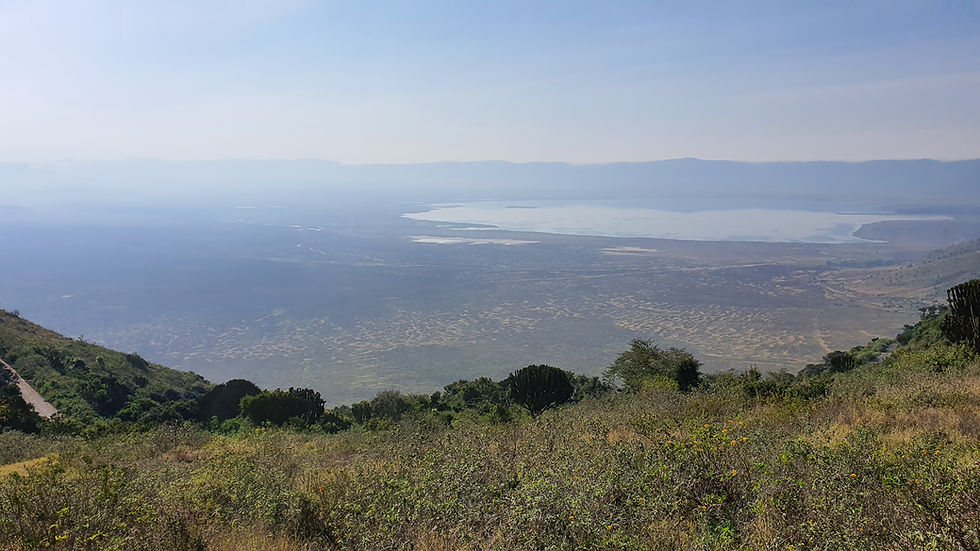 Panoramic view of Ngorongoro Crater from the rim, showing the vast caldera floor and crater lake in Tanzania.