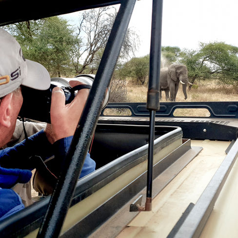 Wildlife photography guests photograph wildlife from a safari vehicle in Tarangire National Park, Tanzania