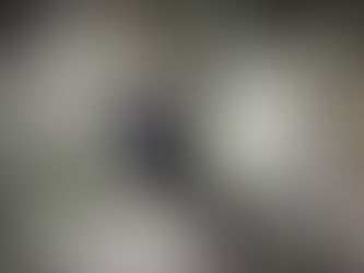 A large mountain gorilla sits in the high forest trees of Bwindi, small in frame, taken by Mark A Fernley