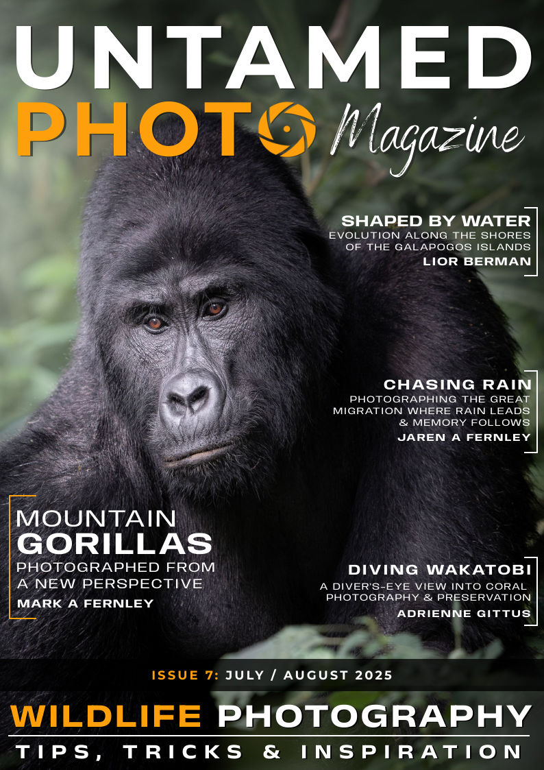 Issue 7 Untamed Photo Magazine