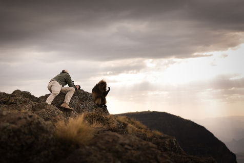 Wildlife photographer Mark Fernley crouches down on the edge of the Simien Mountains to photograph a male Gelada Baboon as the sun sets behind the clouds in the distance.