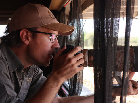 The Wonders of Wildlife Photography Hides