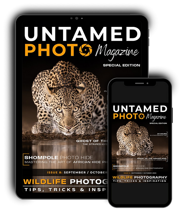 wildlife photography magazine - untamed photo magazine