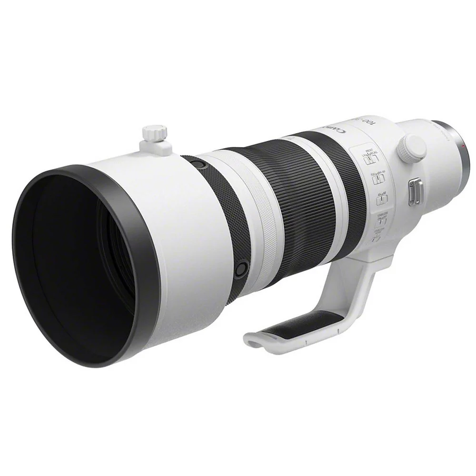 Canon’s RF 100-300mm f/2.8L IS USM